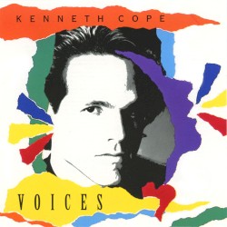 Voices