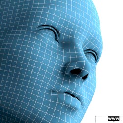 www