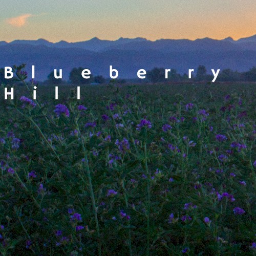 Blueberry Hill