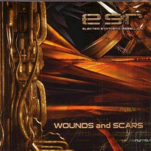 Wounds and Scars