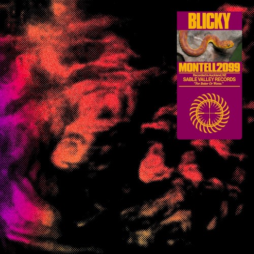 Blicky