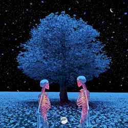 Next Life