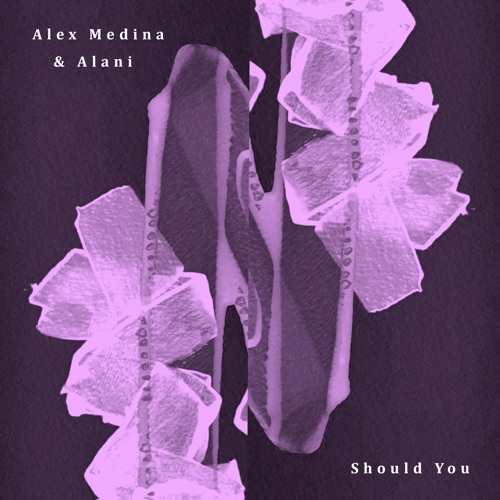 Should You / Broken Window