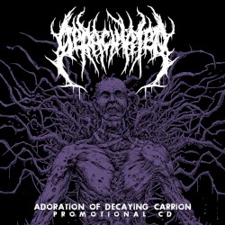Adoration Of Decaying Carrion