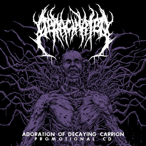 Adoration Of Decaying Carrion
