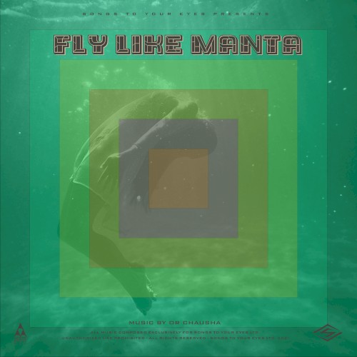 Fly Like Manta