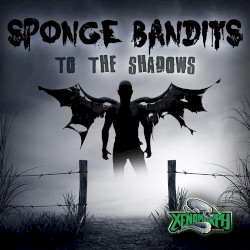 To the Shadows