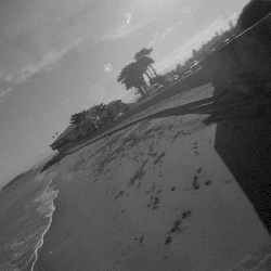 I Dreamed a Beach