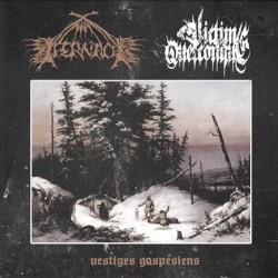 Vestiges Gaspesiens