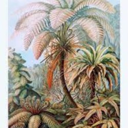 2023-01-26: Loafer's Glory / A Hobo Jungle Of The Mind, “Palm Trees and Polotics”