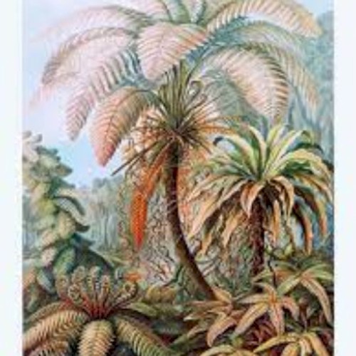 2023-01-26: Loafer's Glory / A Hobo Jungle Of The Mind, “Palm Trees and Polotics”