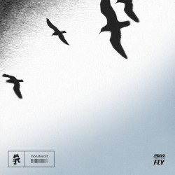 FLY