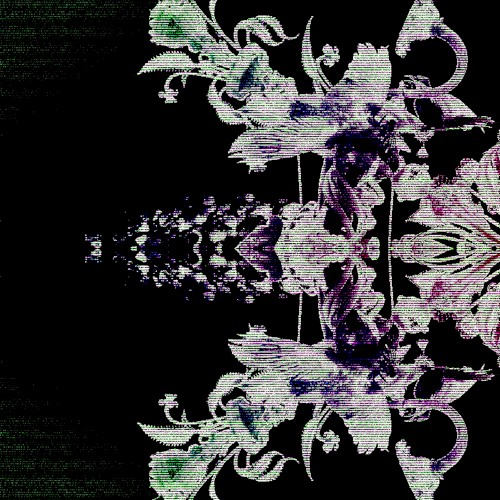 𝙂𝙧𝙖𝙘𝙚𝙨