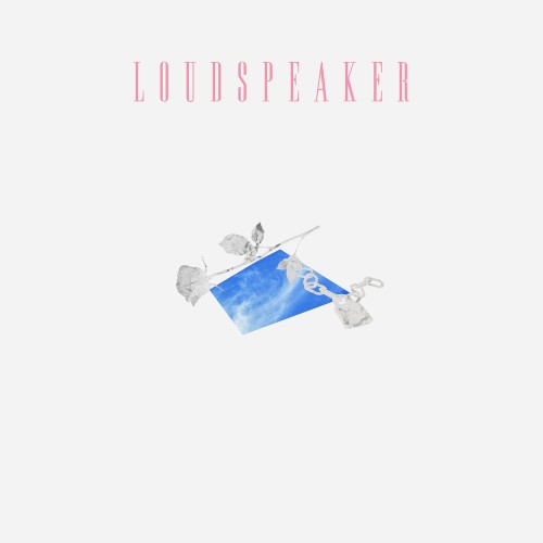 Loudspeaker
