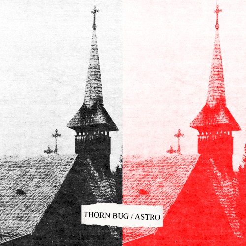 Thorn Bug / ASTRO