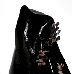 Black Earth