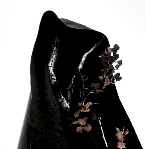 Black Earth