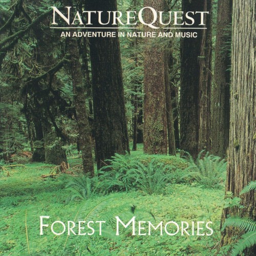 Forest Memories