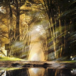 Gaia