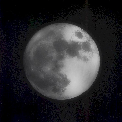 White Moon