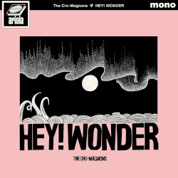 HEY! WONDER