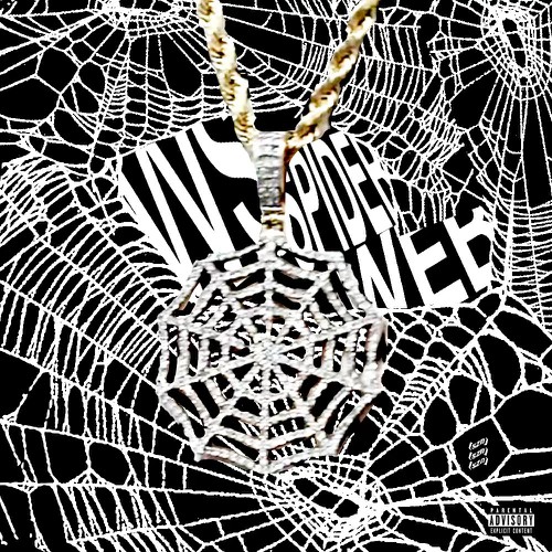 vvs spiderweb