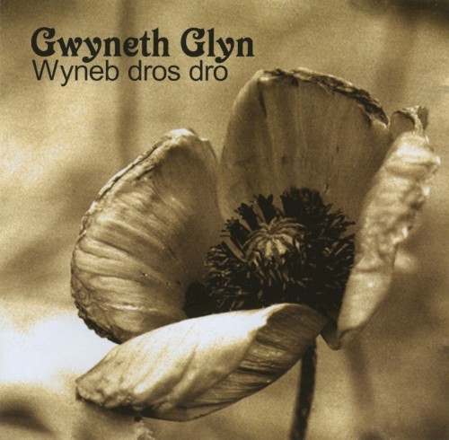 Wyneb Dros Dro