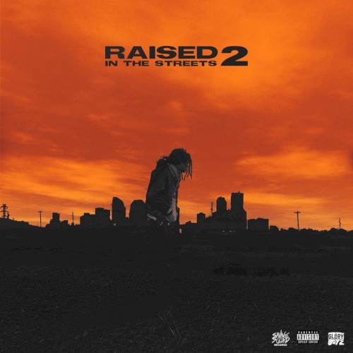 Raised In the Streets 2