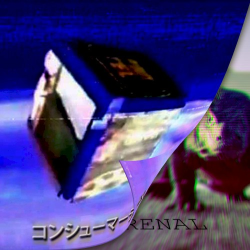 コンシューマーデッド · TERRENAL