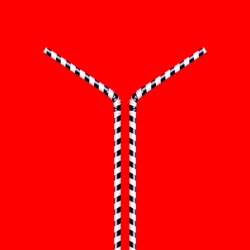 Líneas generales