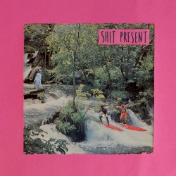 Shit Present