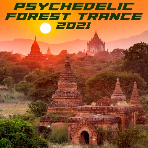 Psychedelic Forest Trance 2021