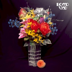 Rocco Vice