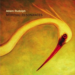 Morphic Resonances