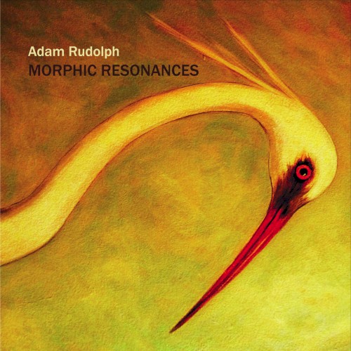 Morphic Resonances