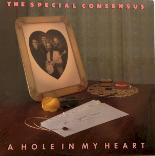 A Hole in My Heart