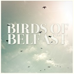 Birds of Belfast