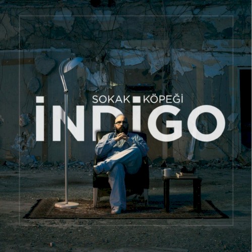 Sokak köpeği