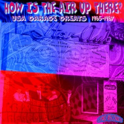 USA Garage Greats 1965-1967: Vol. 101: How Is the Air Up There
