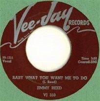 Baby What You Want Me to Do / Caress Me Baby