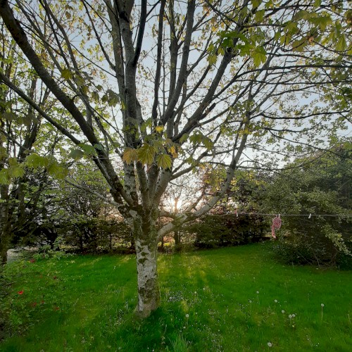 Live, Outside
