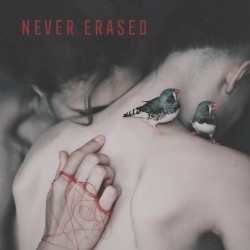 Never Erased Compilation