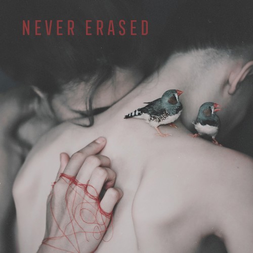 Never Erased Compilation