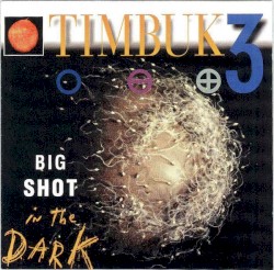 Big Shot in the Dark