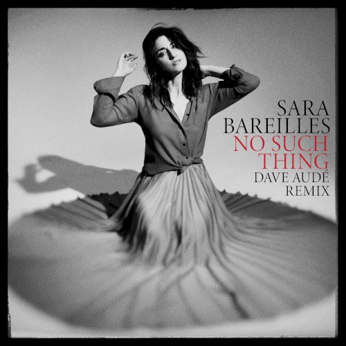 No Such Thing (Dave Audé remix)