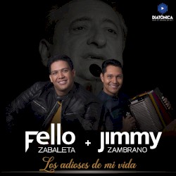 Los adioses de mi vida