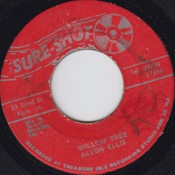 Dance Crasher / Willow Tree