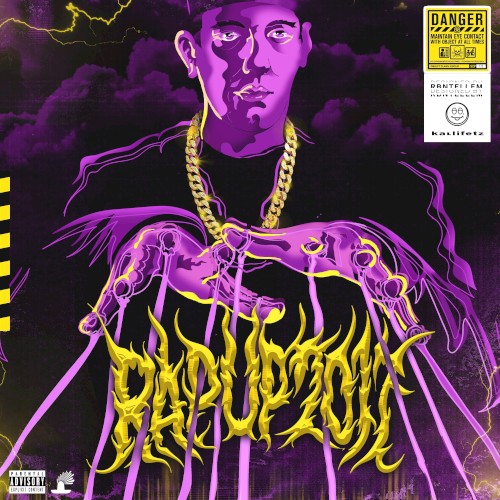 Rap up 2017