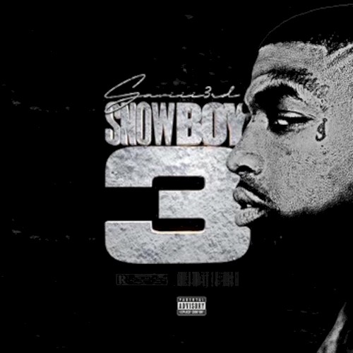 Snowboy 3