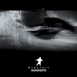 Wingsuit